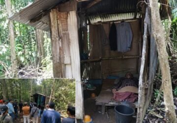 Dua Dekade Menyepi di Tengah Hutan, Kisah Sunyi Eks Kombatan GAM Berakhir di Gubuk Reot